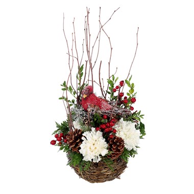 Cardinal's Bird Nest (BF366-11KM)